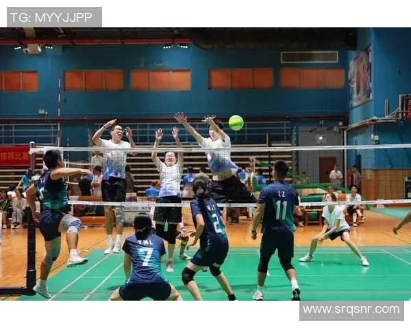 广州排球队的转型之路：深度解析排球战术与团队协作的变革